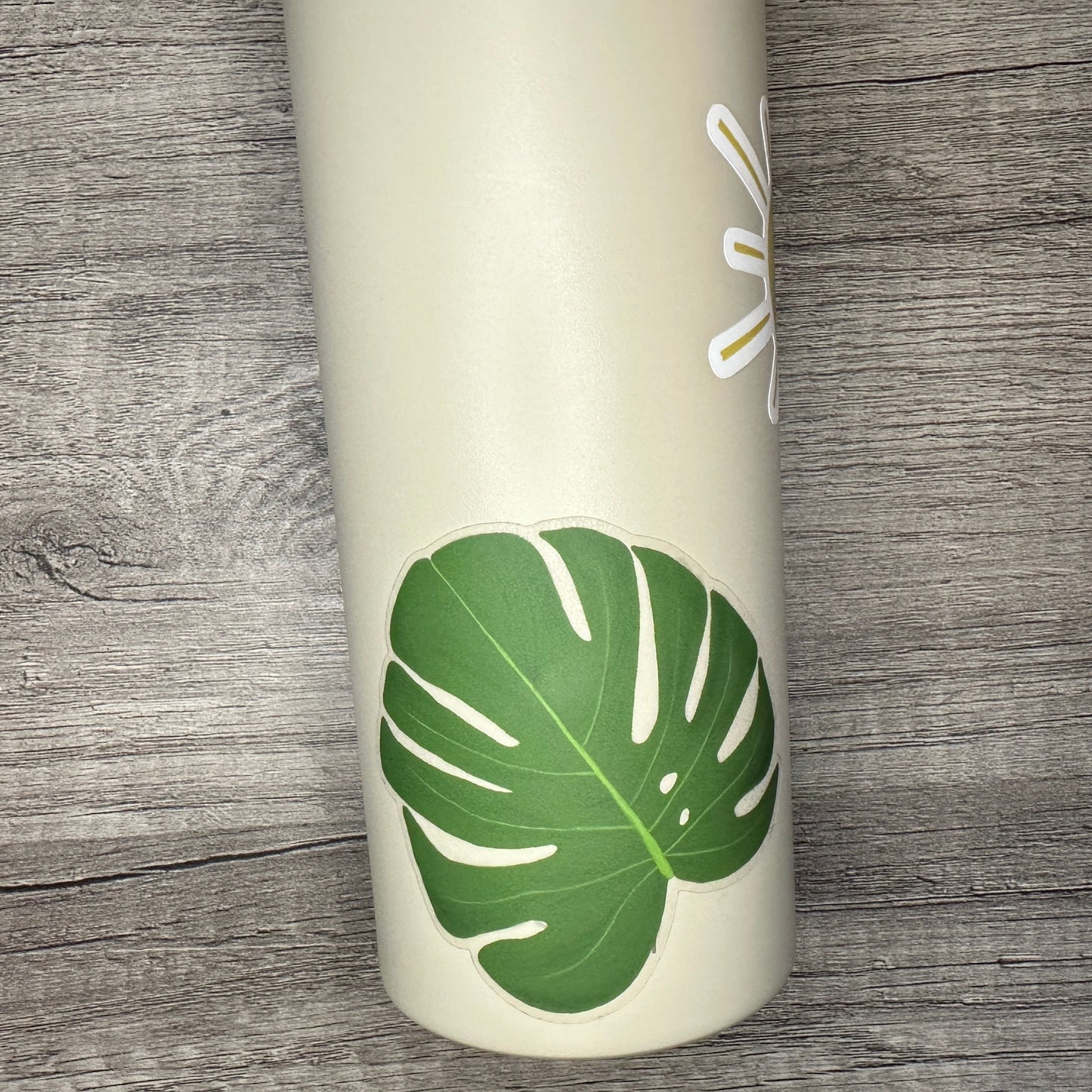 Monstera Leaf Sticker