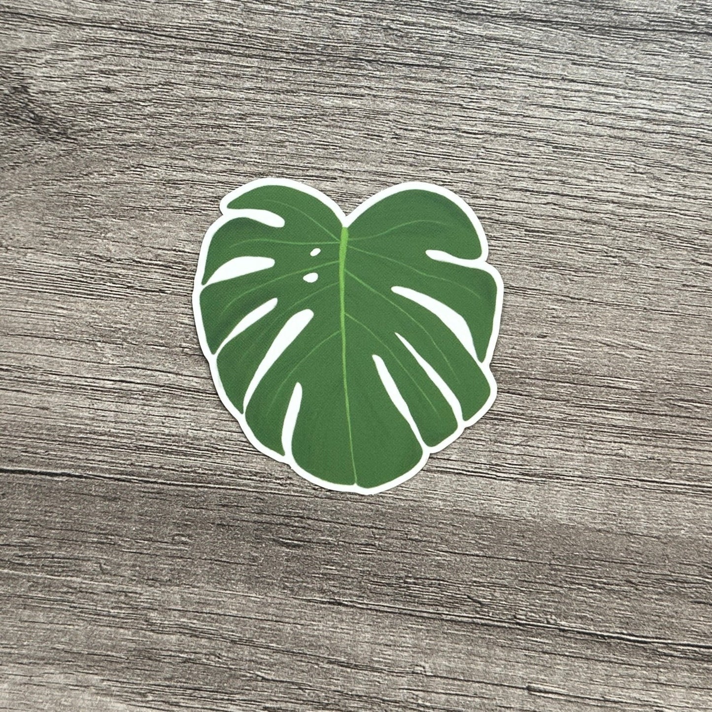 Monstera Leaf Sticker