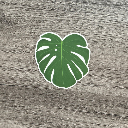 Monstera Leaf Sticker