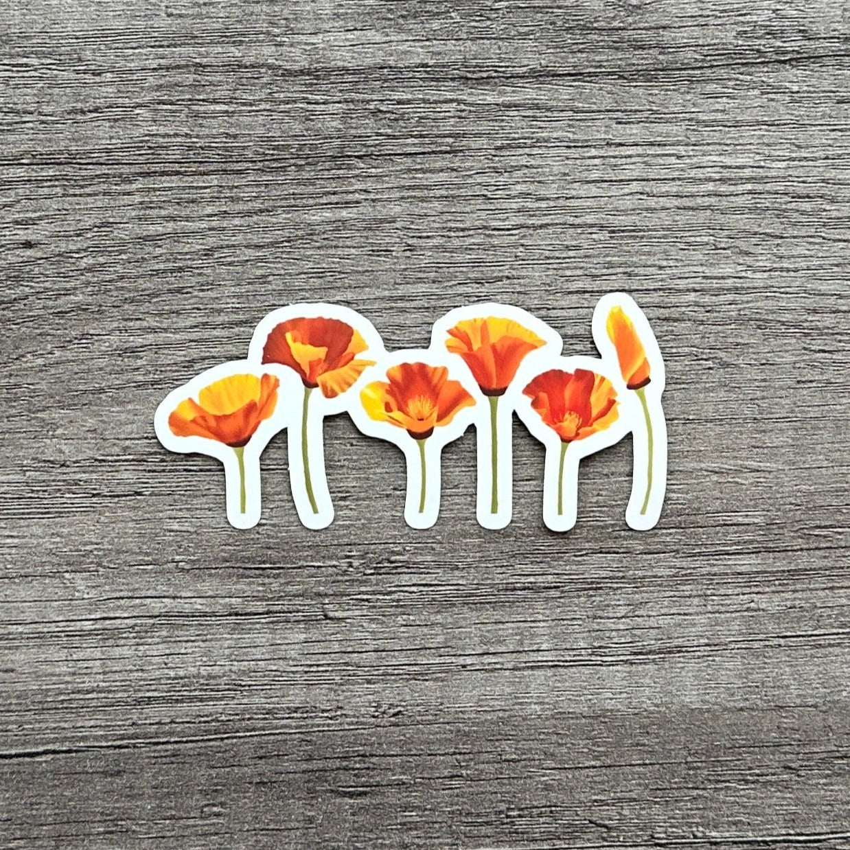 California Poppies Sticker