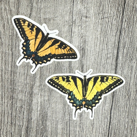 Swallowtail Butterfly Sticker