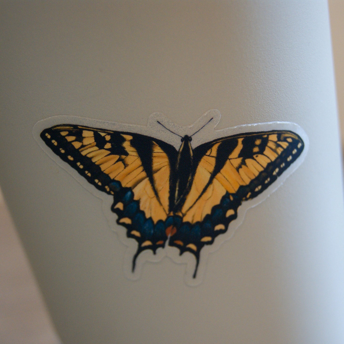 Die-cut clear vinyl sticker that measures 2.4" long by 1.6" high featuring hand-drawn orange swallowtail butterfly. Displayed on a taupe tumbler to showcase the clear vinyl background.