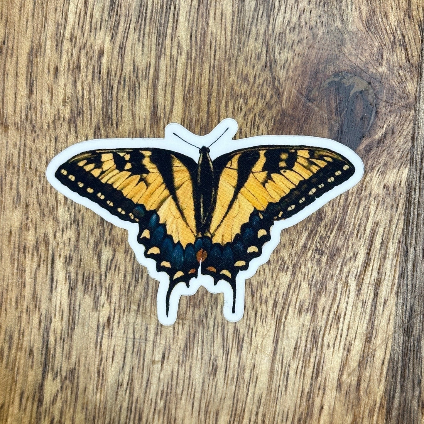 Die-cut clear vinyl sticker that measures 2.4" long by 1.6" high featuring hand-drawn orange swallowtail butterfly. 