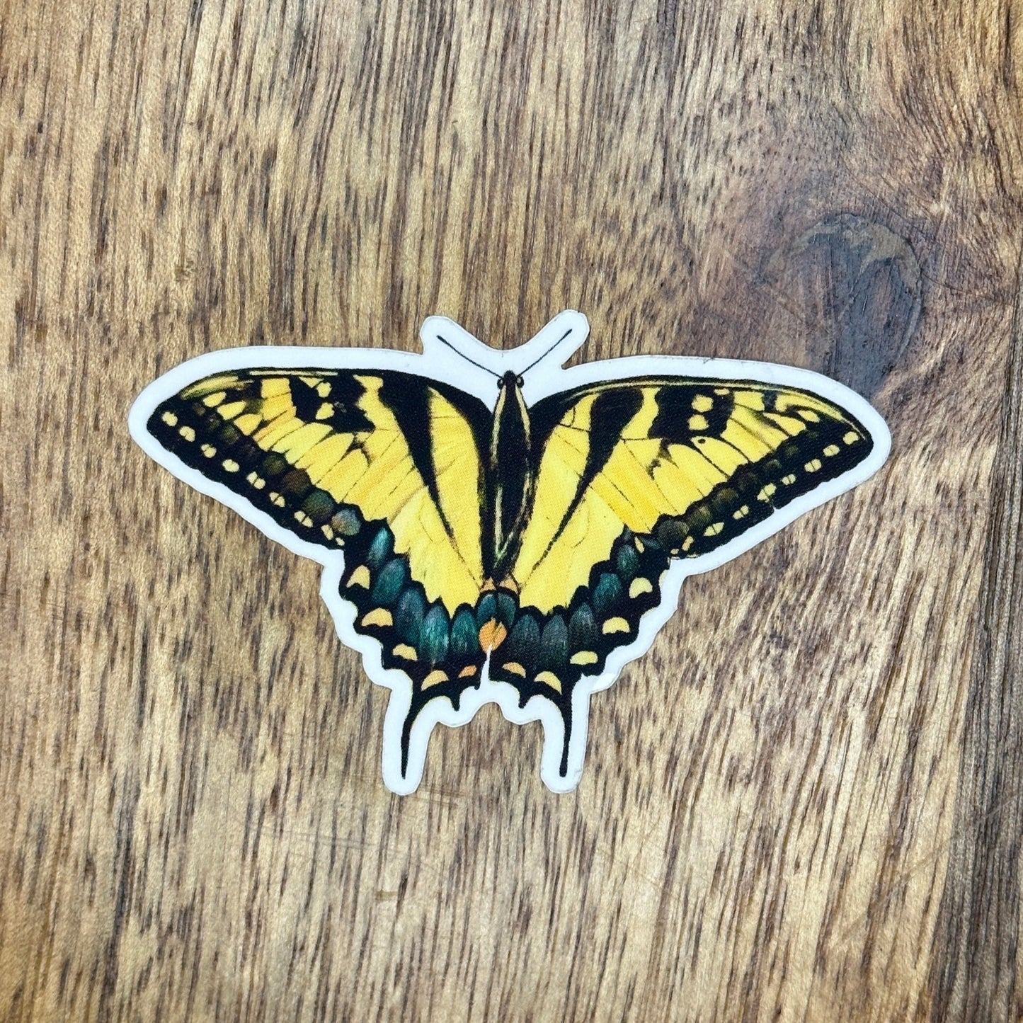 Die-cut clear vinyl sticker that measures 2.4" long by 1.6" high featuring hand-drawn yellow swallowtail butterfly.